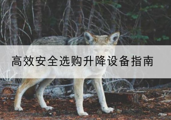 东阿升降货梯厂家推荐-*安全选购升降设备指南