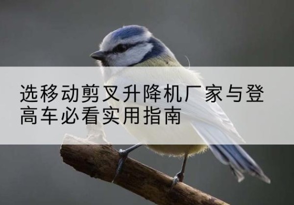 东阿电动升降机厂家-选移动剪叉升降机厂家与登高车必看实用指南