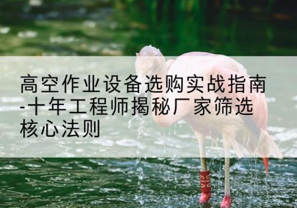 东阿剪叉式升降机厂家-高空作业设备选购实战指南-十年工程师揭秘厂家筛选核心法则
